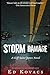 STORM DAMAGE: A CLIFF SAINT JAMES NOVEL (CLIFF ST. JAMES)