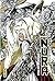 Nura le seigneur des yôkai - Tome 13