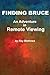 Finding Bruce: An Adventure In Remote Viewing