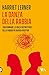 La danza della rabbia. Trasformare la forza distruttrice della rabbia in energia positiva