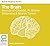 The Brain (Bolinda Beginner Guides)