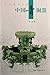 Chinese Bronze Ware: A Mirror of Culture (Chinese Edition)