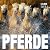 Cube Books Pferde