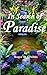 In Search of Paradise (Adventures series)