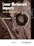 Lunar Meteoroid Impacts and How to Observe Them