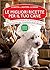 Le migliori ricette per il tuo cane
