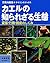 カエルの知られざる生態―変態・行動・脱皮のしくみ