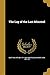 The Lay of the Last Minstrel