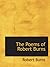 The Poems of Robert Burns