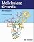 Molekulare Genetik