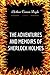 The Adventures And Memoirs of Sherlock Holmes: By Arthur Conan Doyle - Illustrated