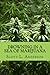 Drowning In A Sea Of Marijuana by Scott L Anderson