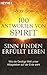 100 Antworten von Spirit: Sinn finden, erfüllt leben. Wie die Geistige Welt unser Alltagsleben auf der Erde sieht