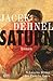 Saturn. Schwarze Bilder der Familie Goya: Roman