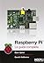 Raspberry Pi. La guida completa