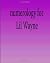 Numerology for Lil Wayne