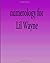 Numerology for Lil Wayne