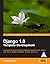 DJANGO 1.0 TEMPLATE DEVELOPMENT A PRACTICAL GUIDE TO DJANGO TEMPLATE DEV