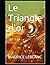 Le Triangle d'or (French Edition)
