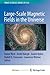 Large-scale Magnetic Fields in the Universe