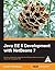 Java EE 6 Development with NetBeans 7 [Paperback] David Heffelfinger