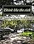 Think like the rich: Unlocking the secrets of riches (Life builders series)