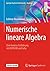 Numerische lineare Algebra: Eine konzise Einführung mit MATLAB und Julia (Springer Studium Mathematik - Bachelor) (German Edition)