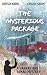 The Mysterious Package (A Hannah and Tamar Mystery)
