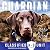 Guardian (Classified K-9 Unit #1)