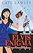 The Elvis Enigma (Vegan Vamp Mysteries)