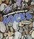 Simple Science Of Rocks