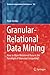 Granular-Relational Data Mining: How to Mine Relational Data in the Paradigm of Granular Computing? (Studies in Computational Intelligence, 702)