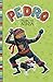 Pedro the Ninja