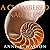 A Chambered Nautilus