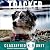 Tracker (Classified K-9 Unit #6)