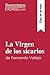 La Virgen de los sicarios de Fernando Vallejo (Guía de lectura): Resumen y análisis completo (Spanish Edition)
