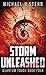 Storm Unleashed (Quantum Touch)