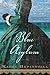 Blue Asylum: An Absorbing Civil War Love Story of Escape and Romance on a Florida Island