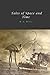 Tales of Space and Time by H. G. Wells