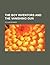Cover of The Boy Inventors and the Vanishing Gun