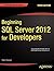 Beginning Sql Server 2012 for Developers (Apress)