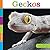 Geckos (Seedlings)