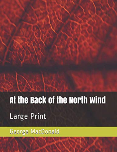 At the Back of the North Wind: Large Print