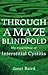 Through a Maze Blindfold: My Experience of Interstitial Cystitis