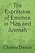 The Expression of Emotion in Man and Animals