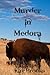 Murder in Medora