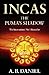 The Puma's Shadow (Incas)
