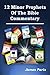 12 Minor Prophets Of The Bible Commentary: An Introduction To And Summary Of The Twelve Minor Prophets Of The Old Testament
