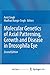 Molecular Genetics of Axial Patterning, Growth and Disease in Drosophila Eye