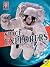 Space Explorers (All About Space Science)
